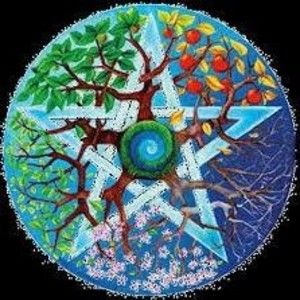 Meet your Posher, Frankie